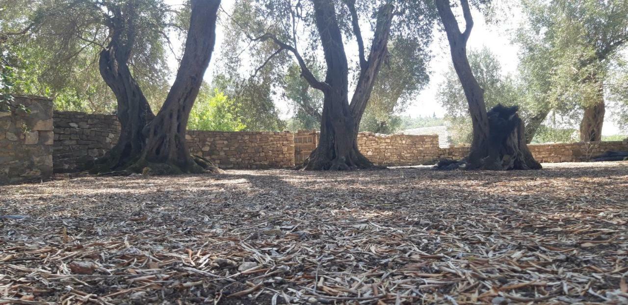 Villa Kiki Paxos Ozias Gáiosz Kültér fotó